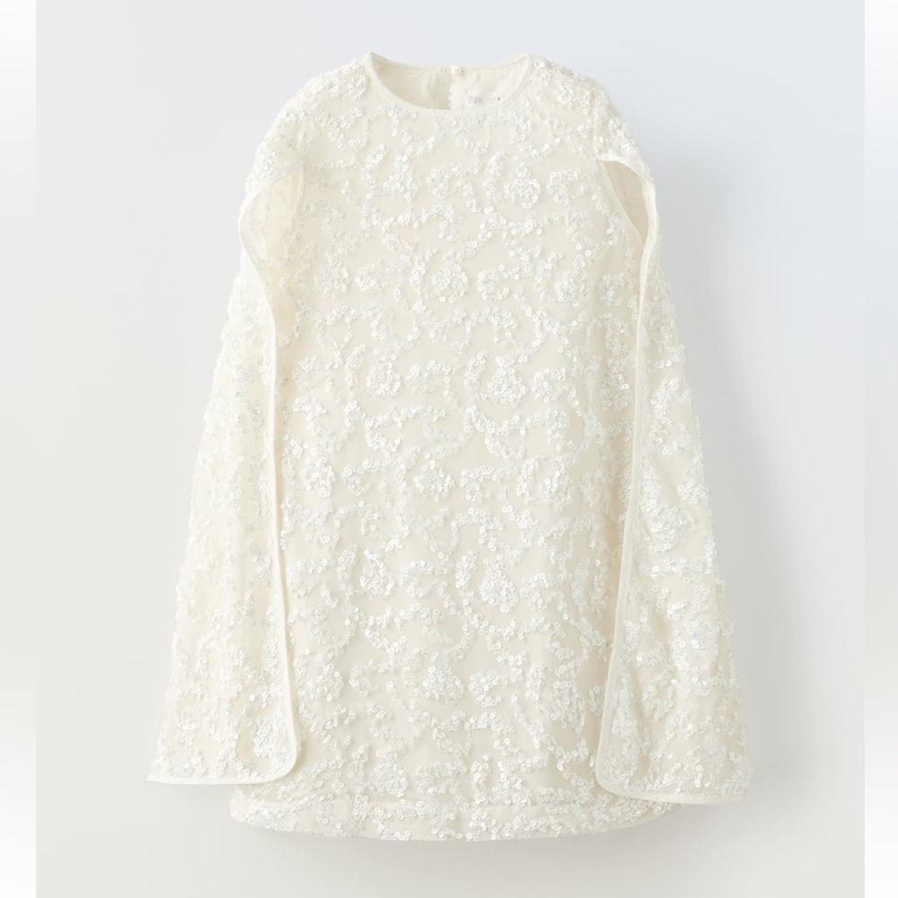 Zara Elegant Lace and sequin Dress